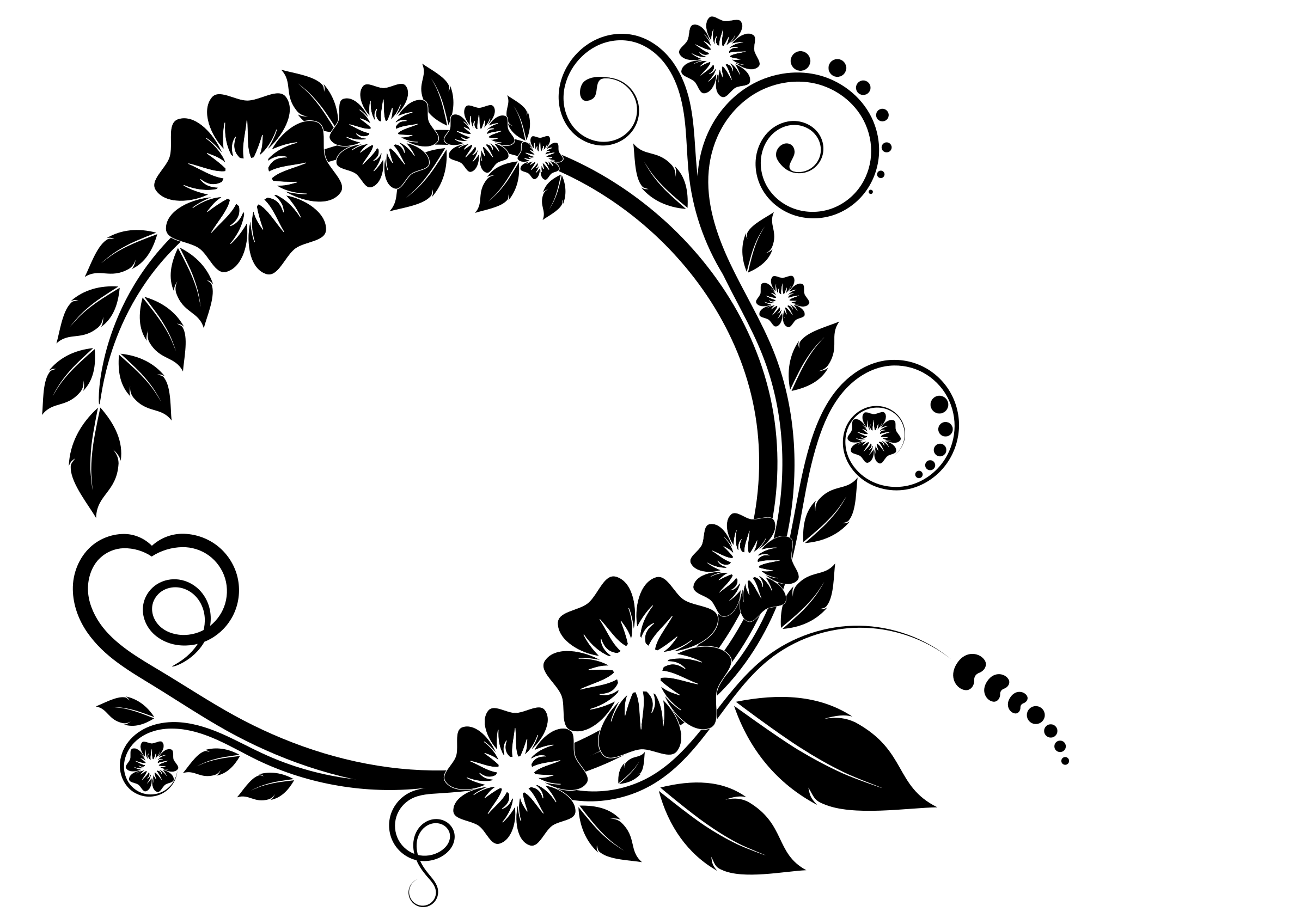 White Flower Frame Transparent PNG Image