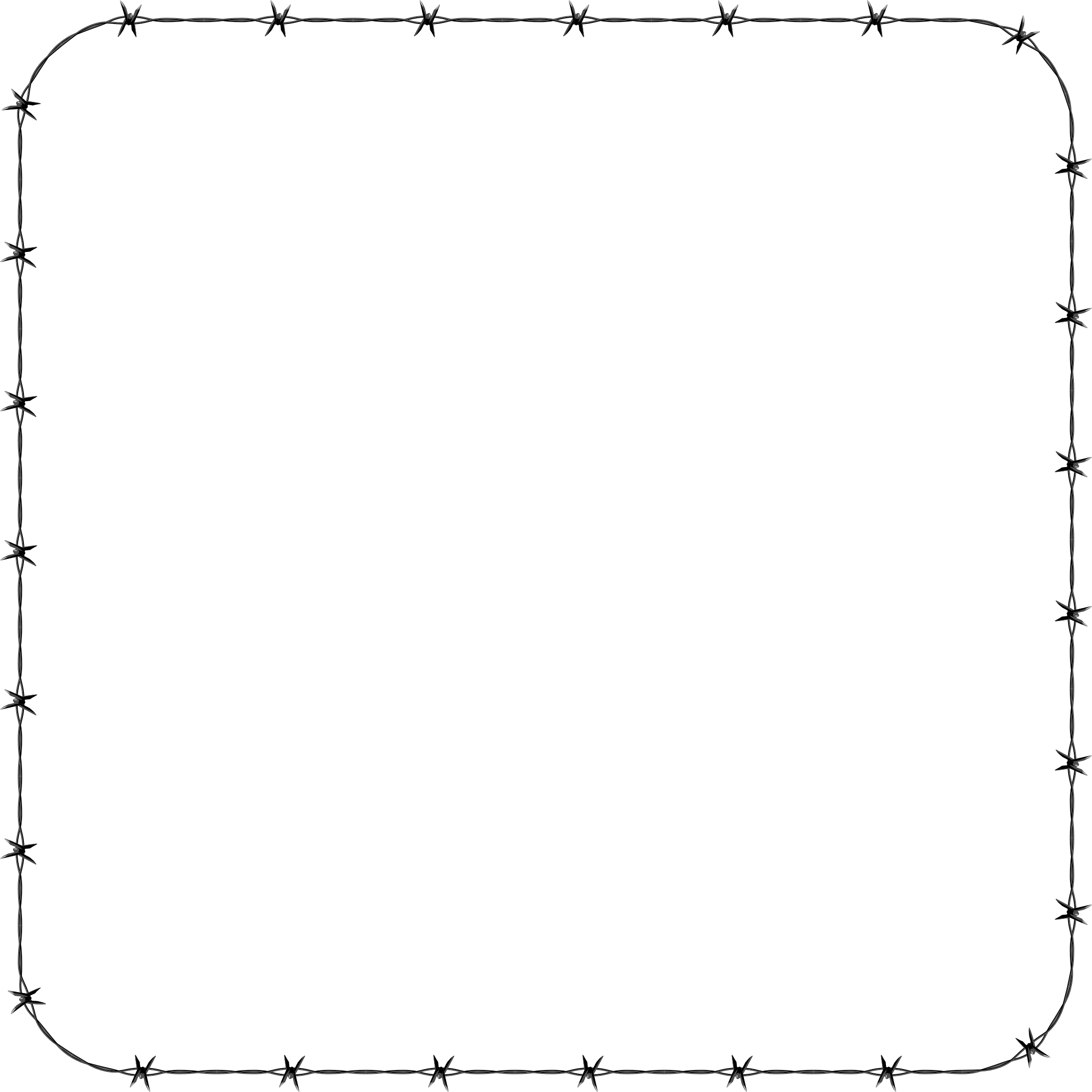 White Border Frame Background Transparent PNG Image