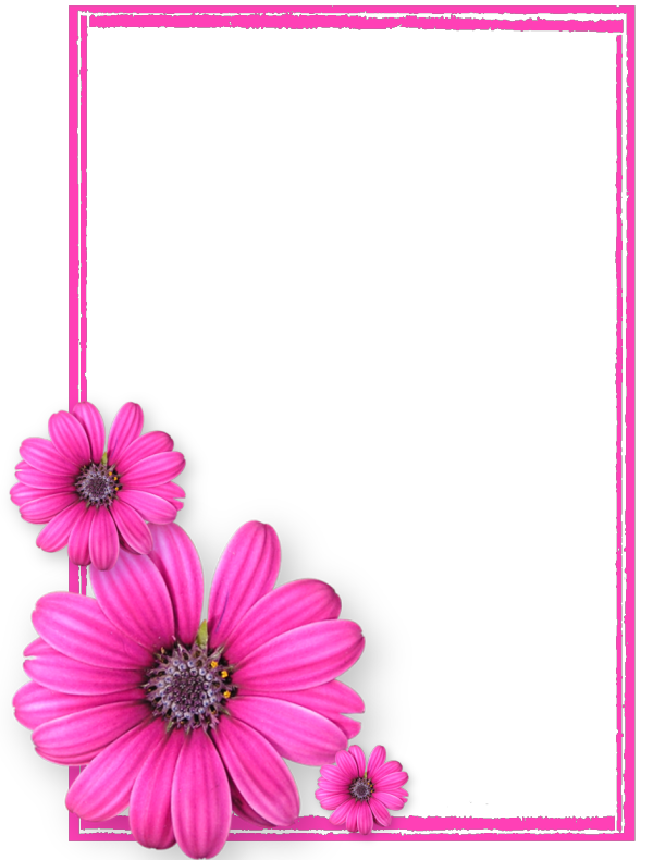 Pink Flower Frame 8 Transparent PNG Image
