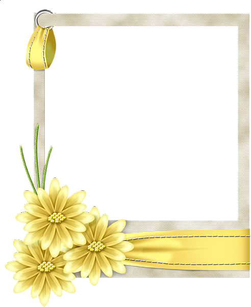 Yellow Border Frame Transparent PNG Image