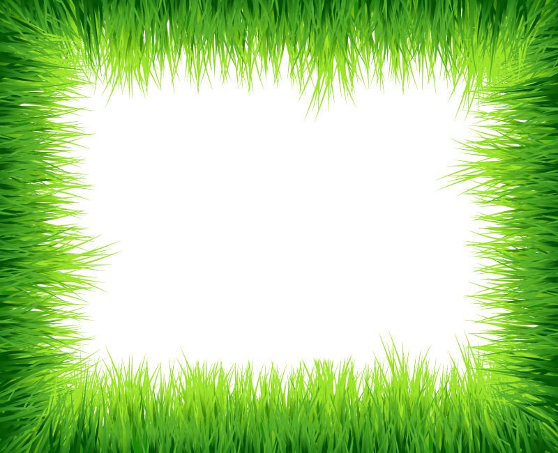 Green Border Frame Transparent PNG Image