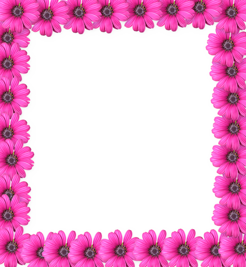 Pink Flower Frame Transparent PNG Image