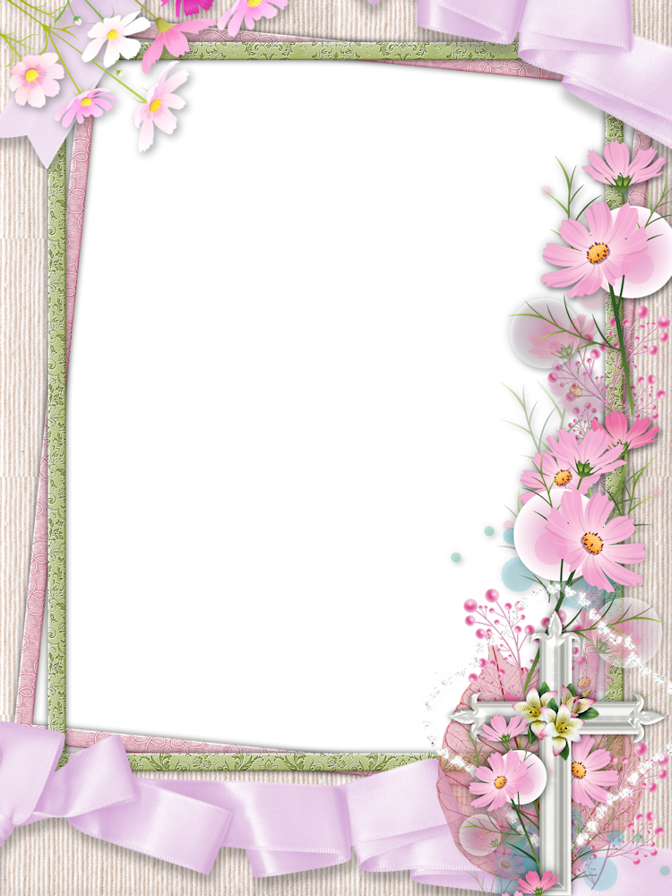 Pink Flower Frame Transparent PNG Image