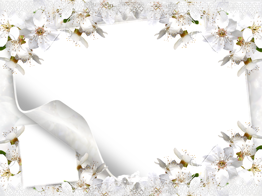White Flower Frame Transparent PNG Image