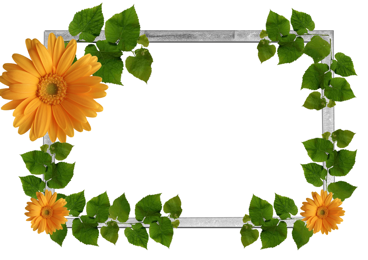 Leaf Frame Transparent PNG Image