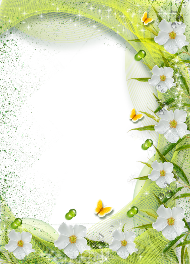 White Flower Frame Background Transparent PNG Image