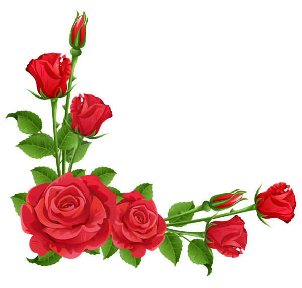 Red Flower Frame Transparent PNG Image