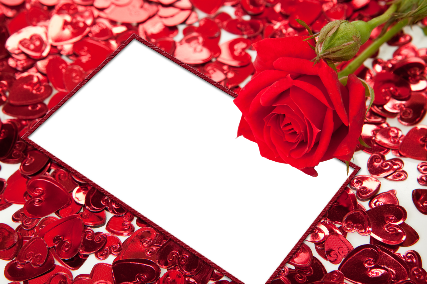 Red Flower Frame Transparent PNG Image
