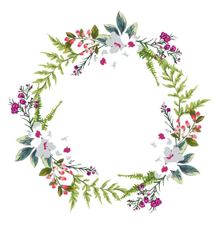 Poppy Frame Flower Round Transparent PNG Image