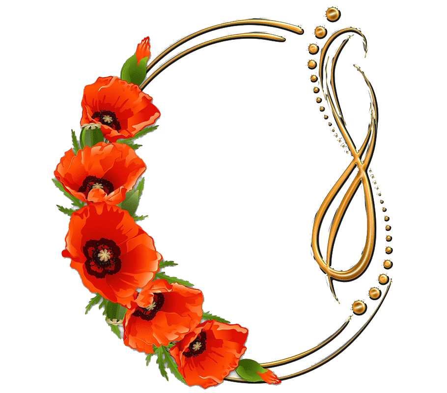 Poppy Frame Flower Round Transparent PNG Image