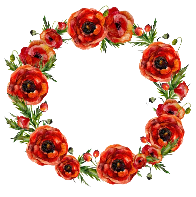 Poppy Frame Flower Round Transparent PNG Image