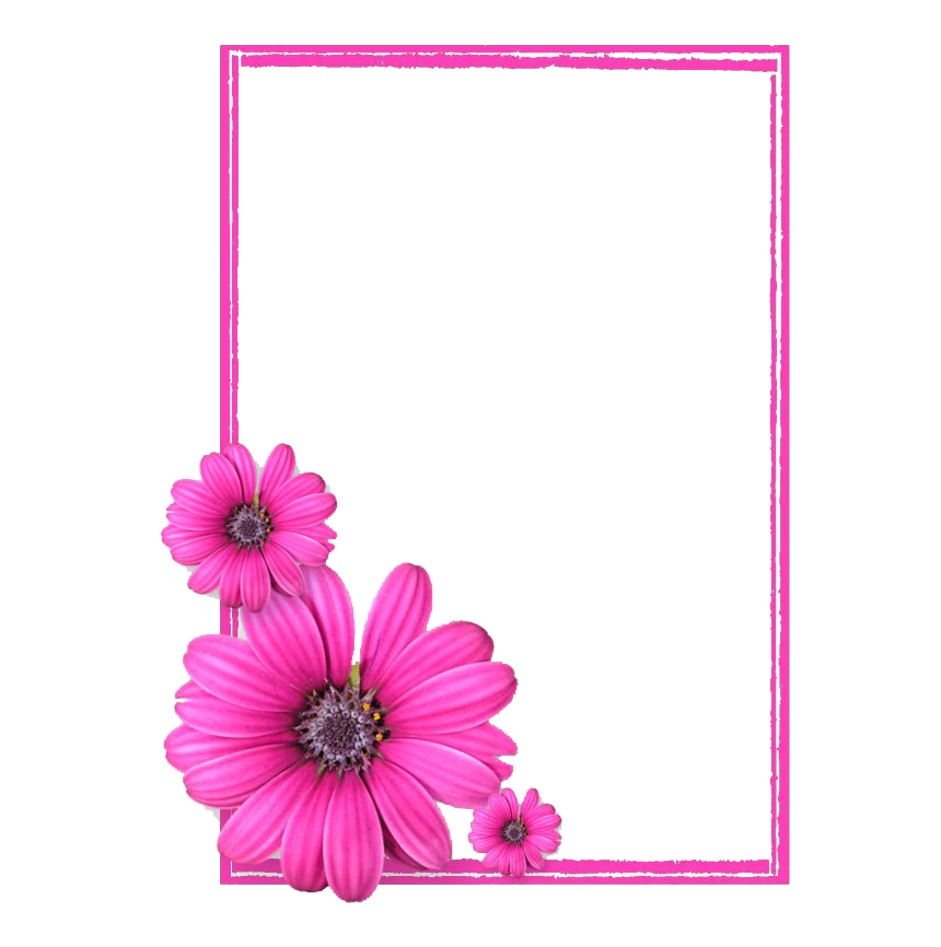 Pink Frame Square Transparent PNG Image