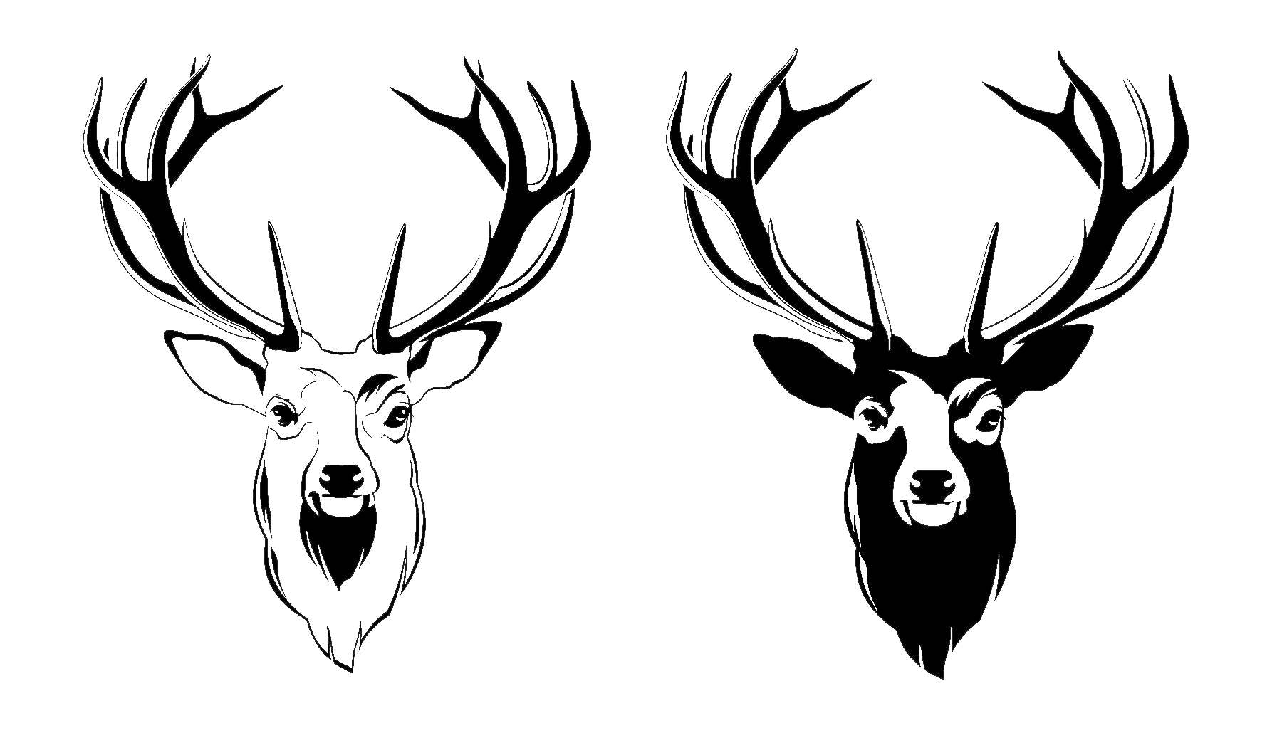 Deer Head Transparent PNG Image