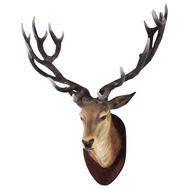 Deer Head Transparent PNG Image
