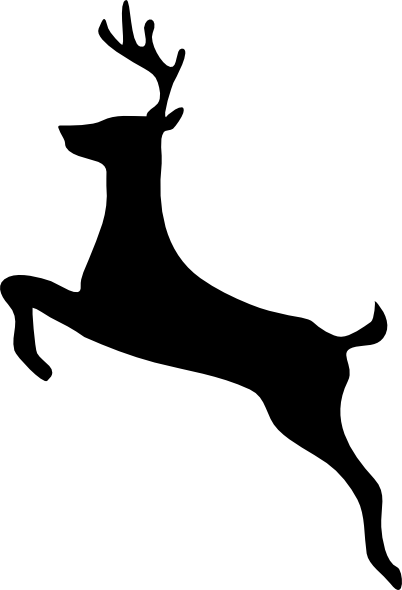 Deer Transparent PNG Image