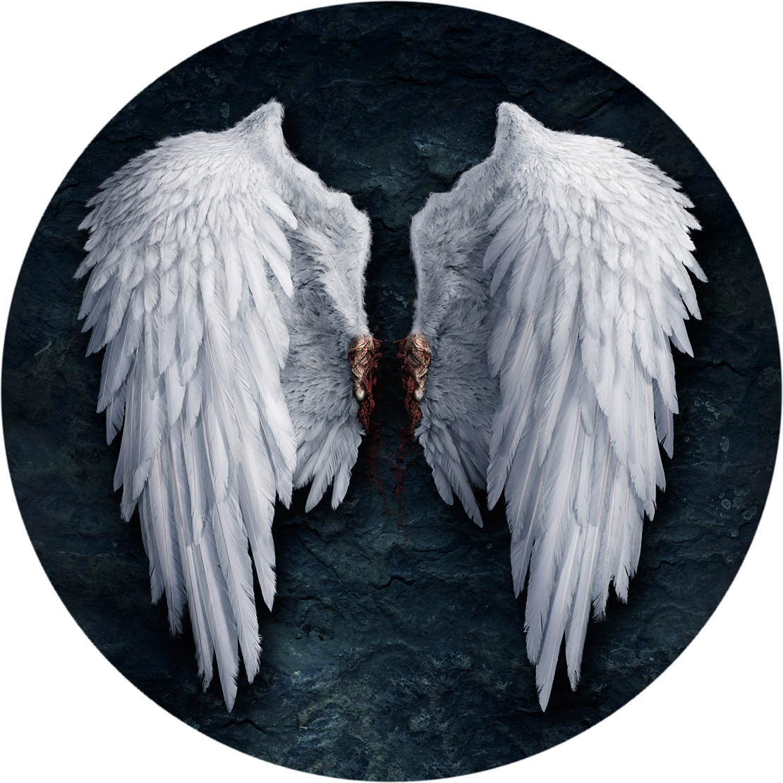 Feather Lucifer Castiel Angel Wing File Transparent PNG Image