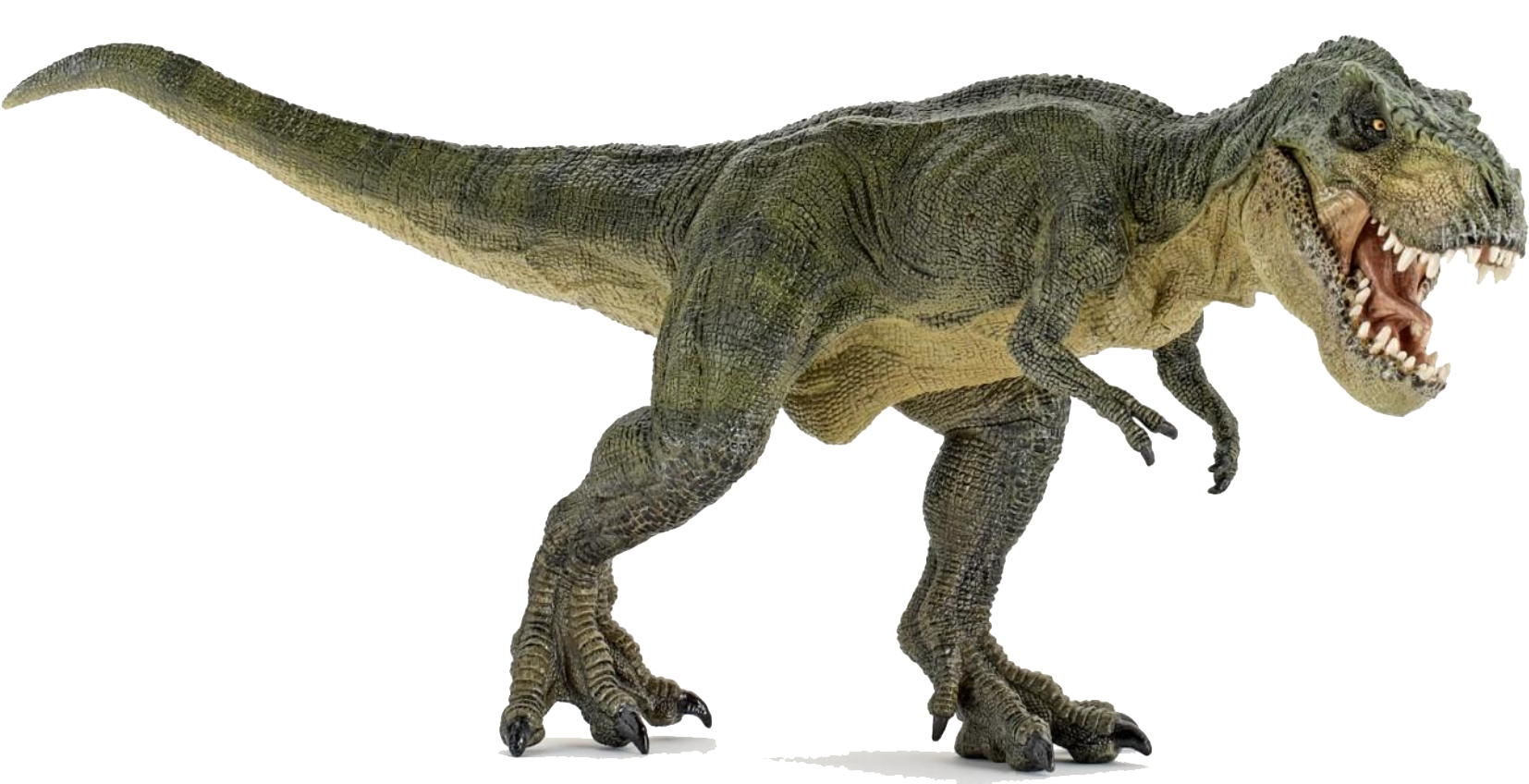 Dinosaur Transparent PNG Image