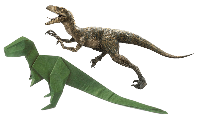 Velociraptor Tyrannosaurus Deinonychus Fauna Dinosaur Transparent PNG Image