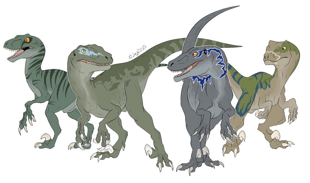 Velociraptor Dinosaur Park Drawing Jurassic Transparent PNG Image