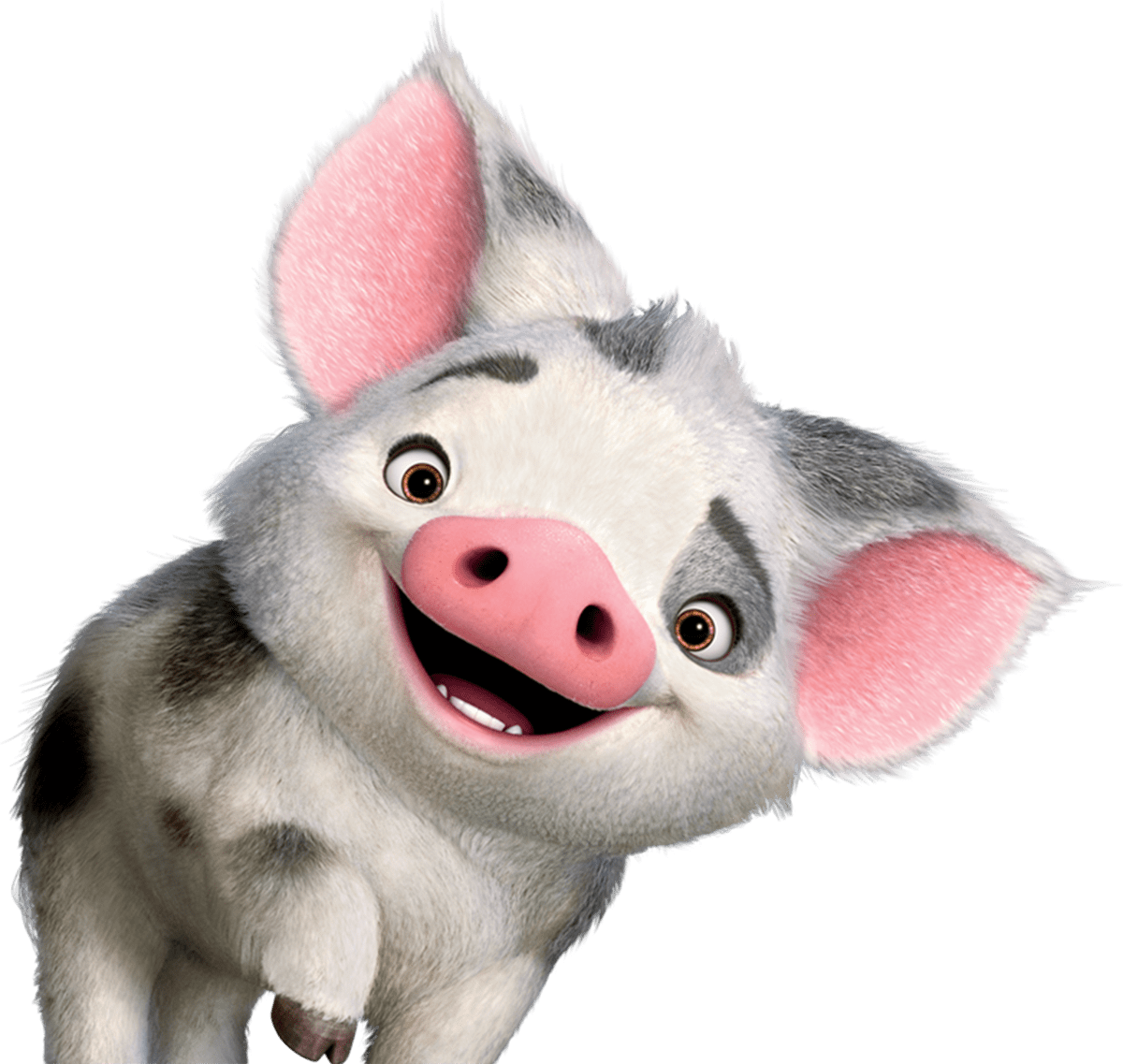 Moana Transparent PNG Image