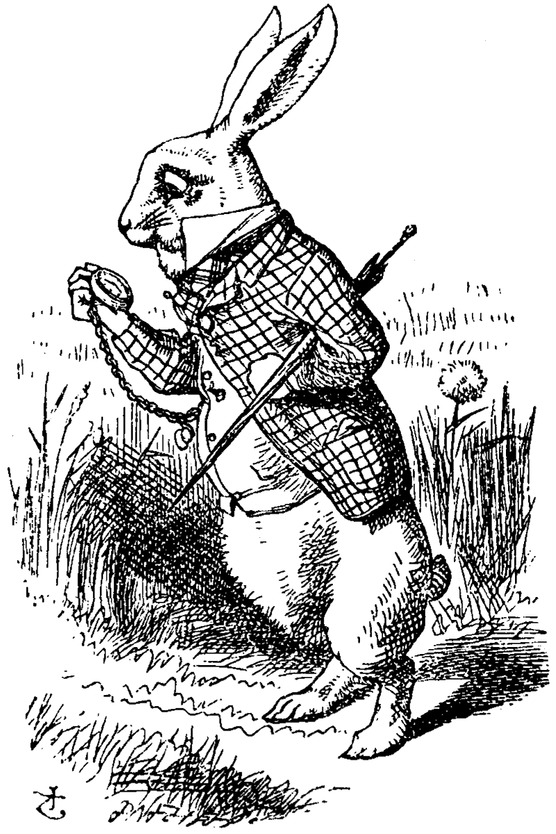 Wonderland Alice Rabbit In Transparent PNG Image