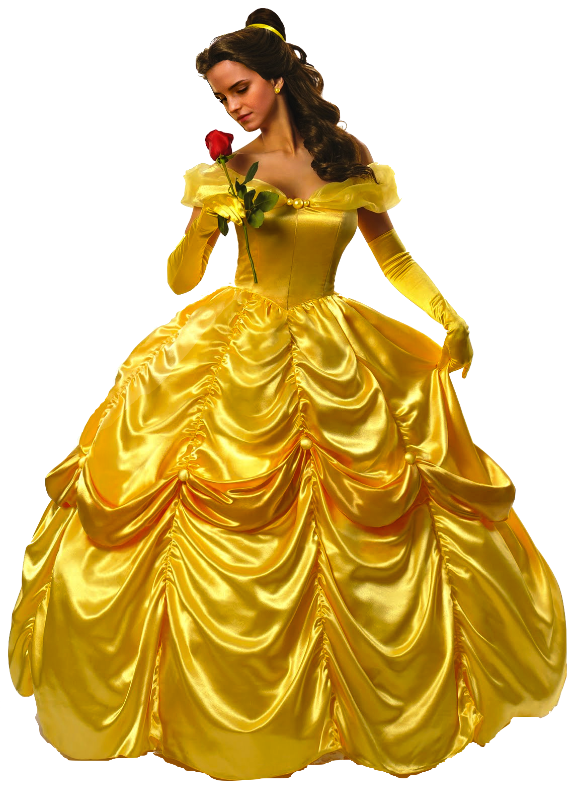 Belle Background Transparent PNG Image