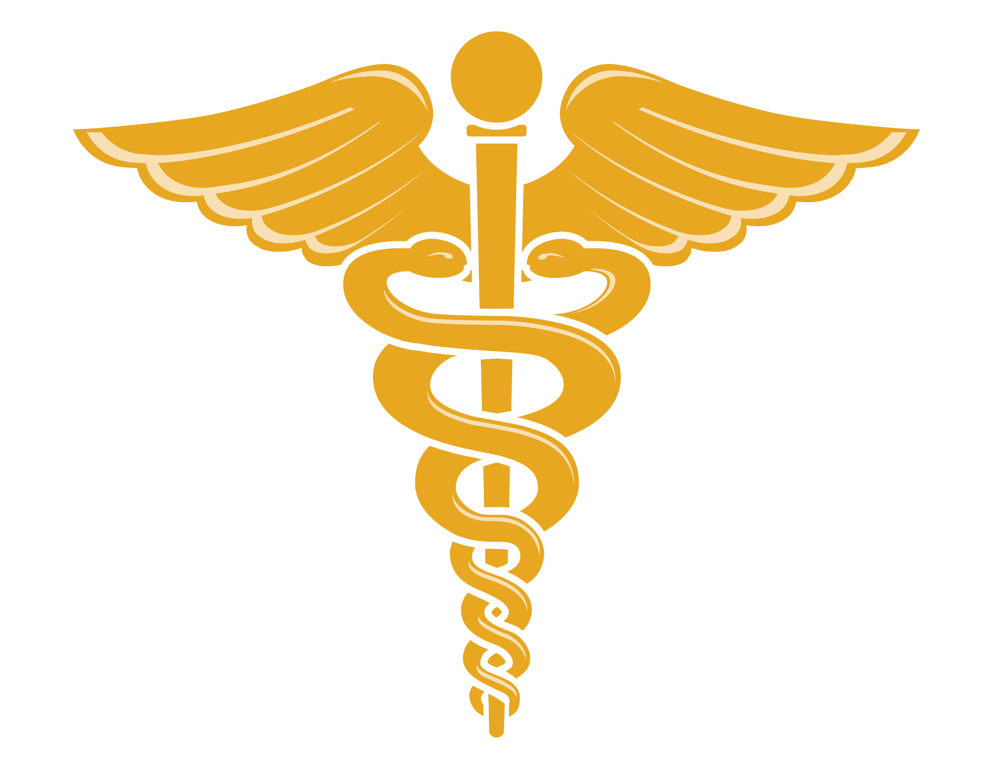 Doctor Symbol Caduceus File Transparent PNG Image