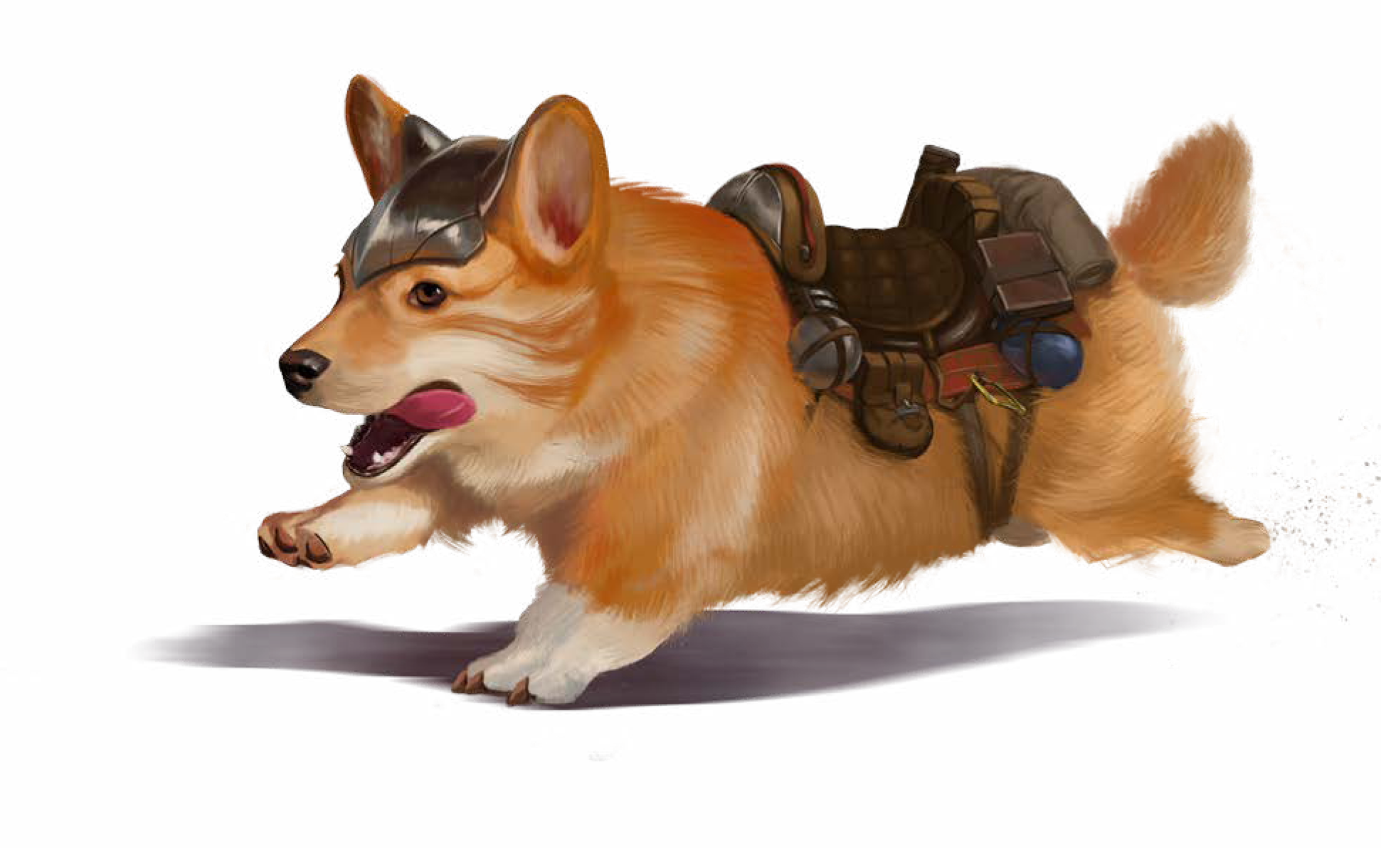 Corgi Transparent PNG Image