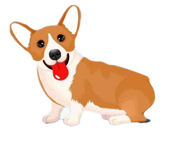 Cute Dog Corgi Transparent PNG Image