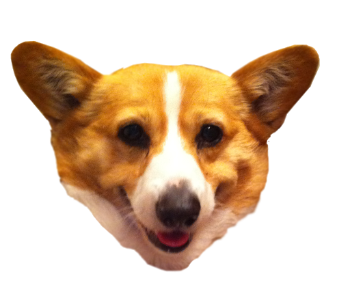 Cute Dog Corgi Transparent PNG Image