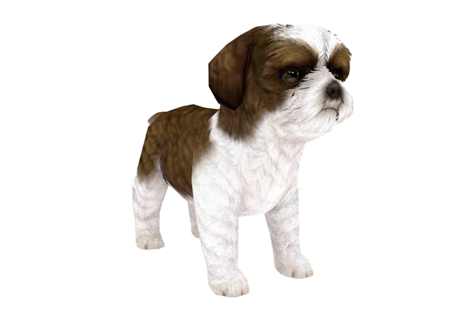 Shih Tzu File Transparent PNG Image