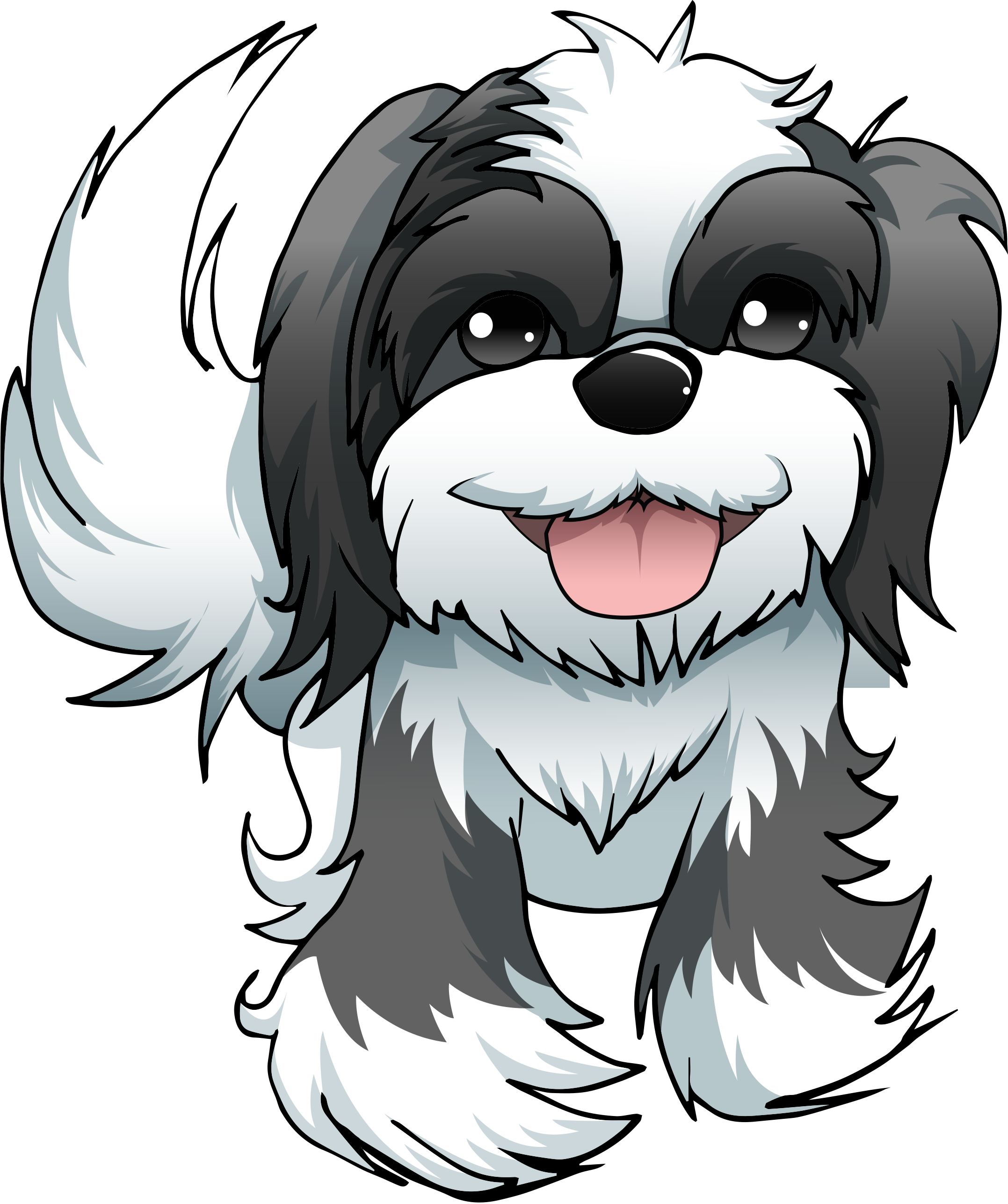 Shih Tzu Transparent PNG Image