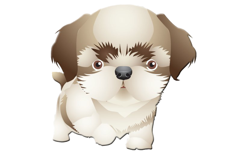 Shih Tzu Transparent PNG Image
