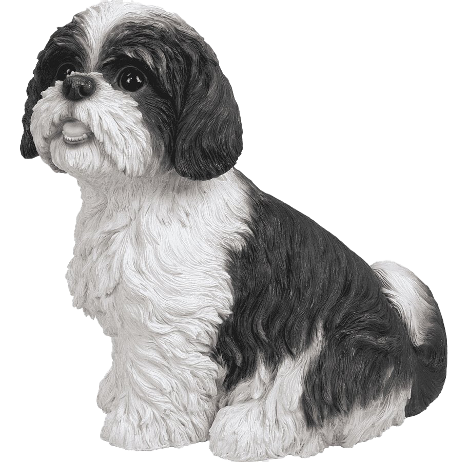 Shih Puppy Tzu Transparent PNG Image