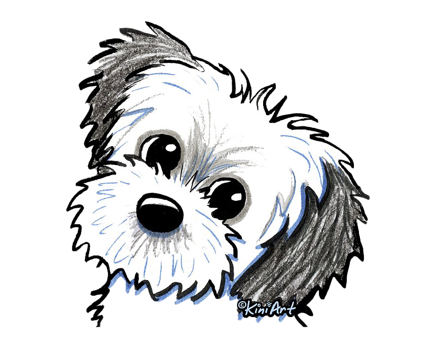 Cute Shih Tzu Transparent PNG Image