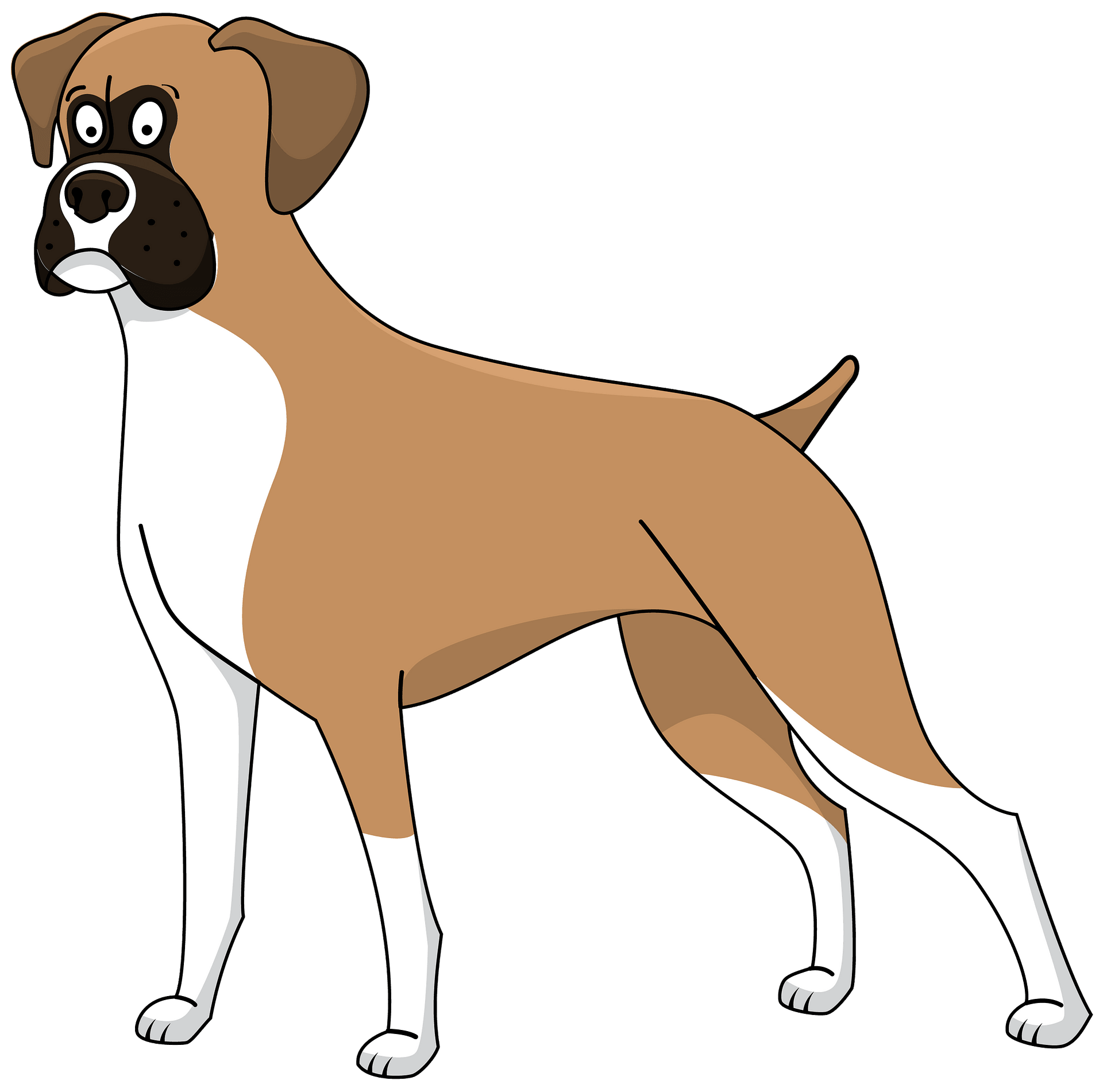 Boxer Dog Transparent PNG Image