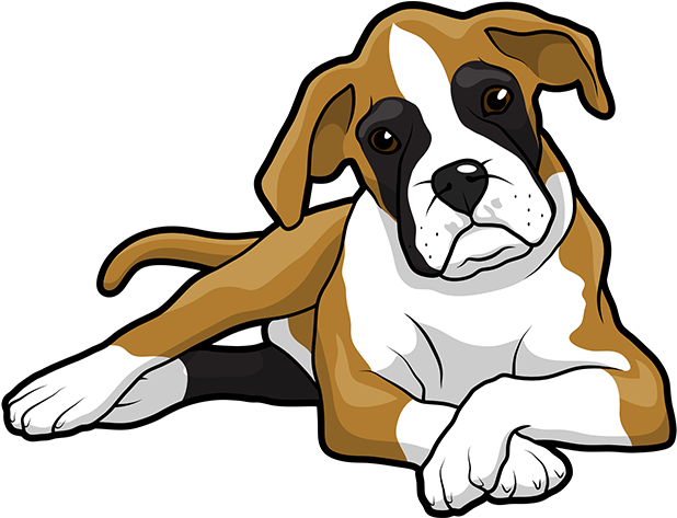 Boxer Dog Sitting Transparent PNG Image