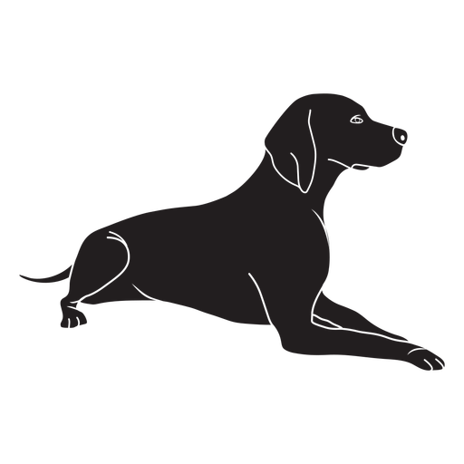 Dog Black Labrador Sitting Transparent PNG Image