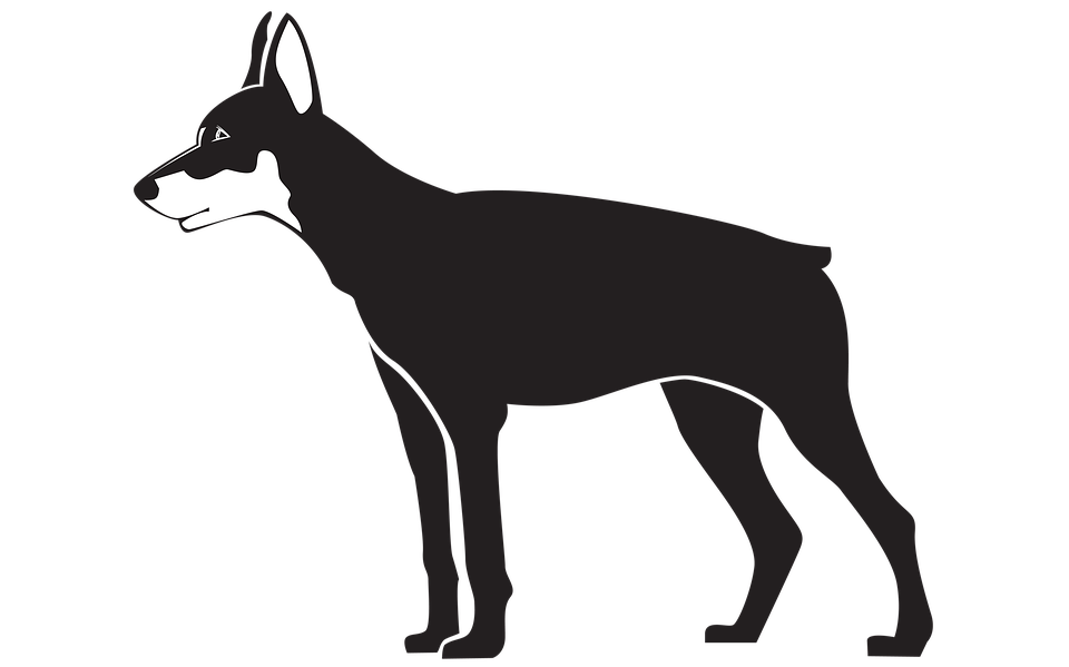 Standing Black Dog Transparent PNG Image