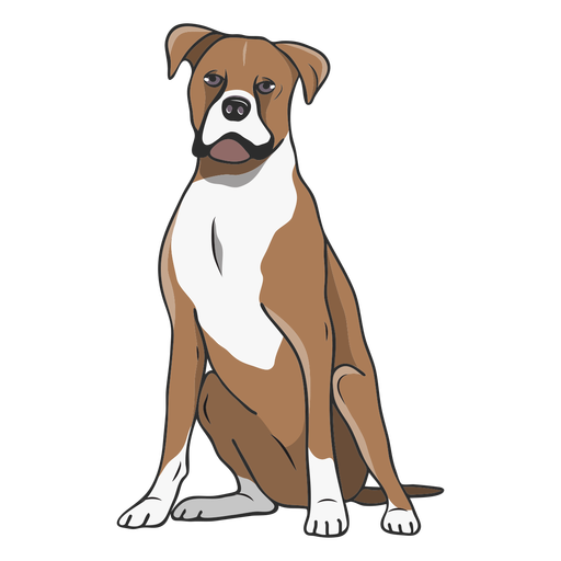 Boxer Vector Dog Transparent PNG Image