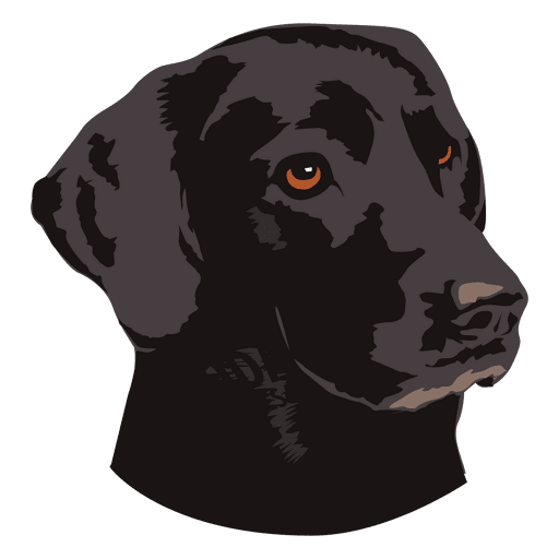 Black Dog Transparent PNG Image
