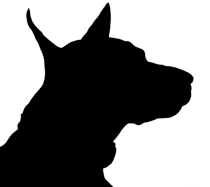 Head Vector Black Dog Transparent PNG Image
