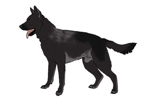 Vector Black Dog Transparent PNG Image