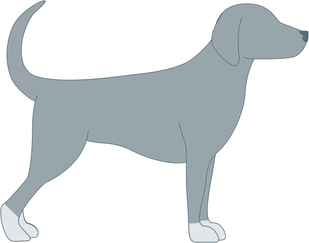 Vector Dog Face Transparent PNG Image
