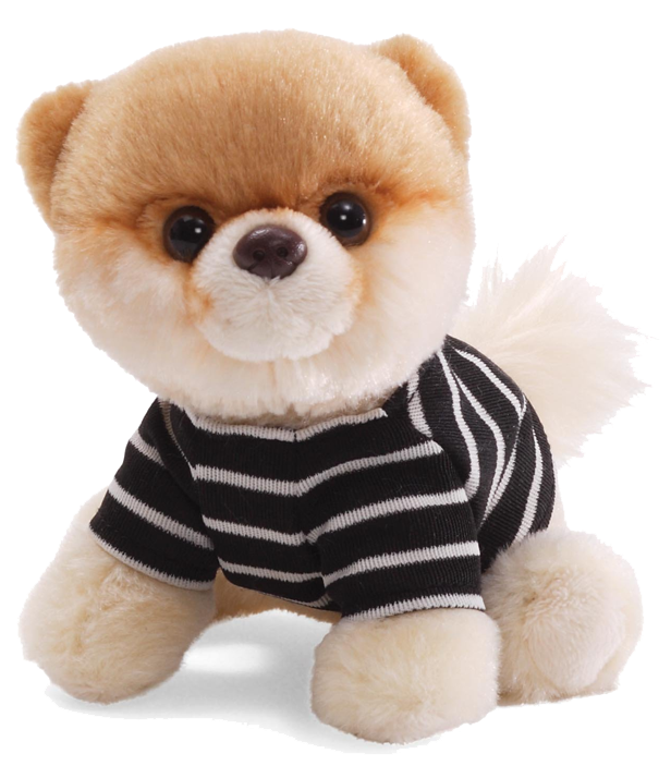 Boo Dog Background Transparent PNG Image