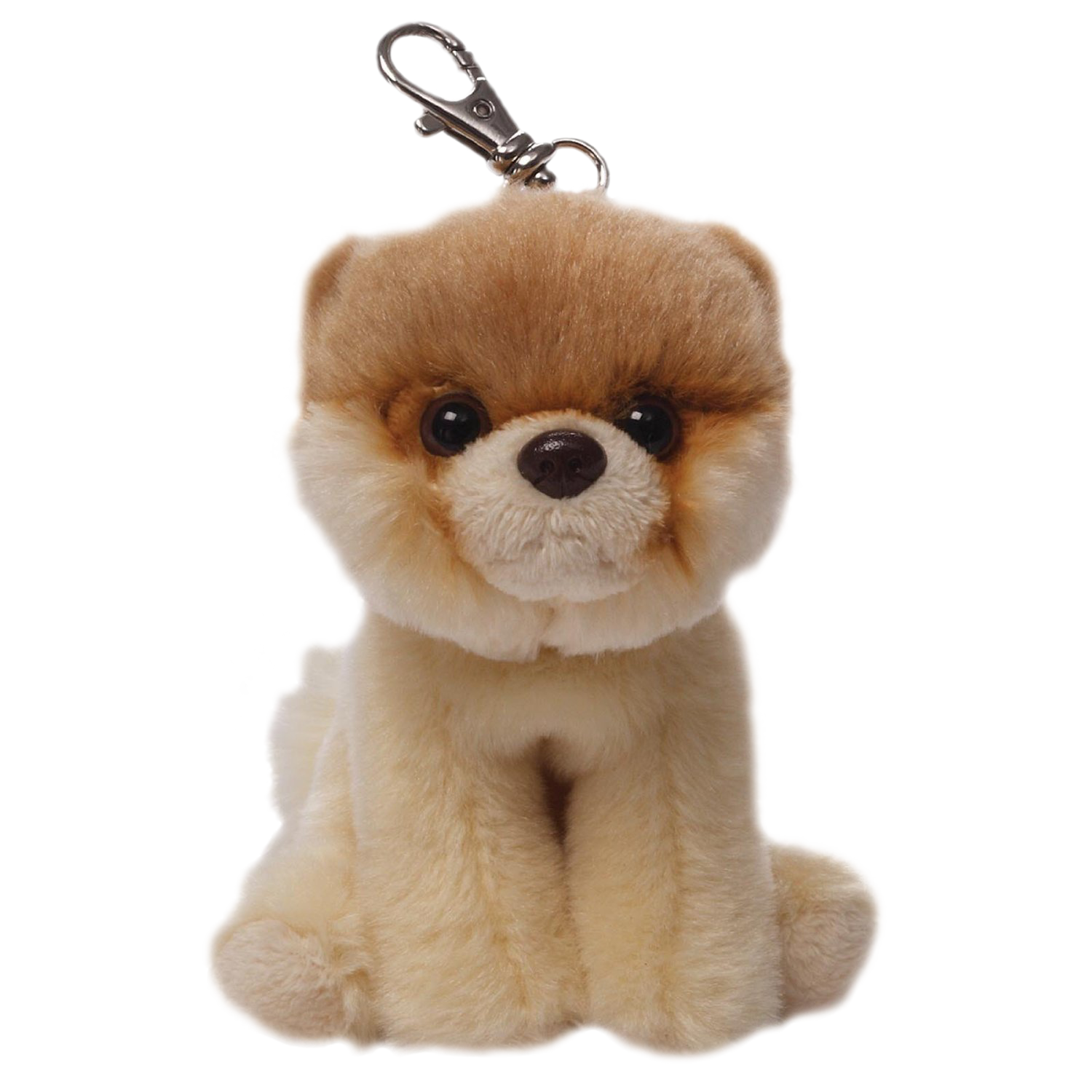 Boo Dog Transparent PNG Image