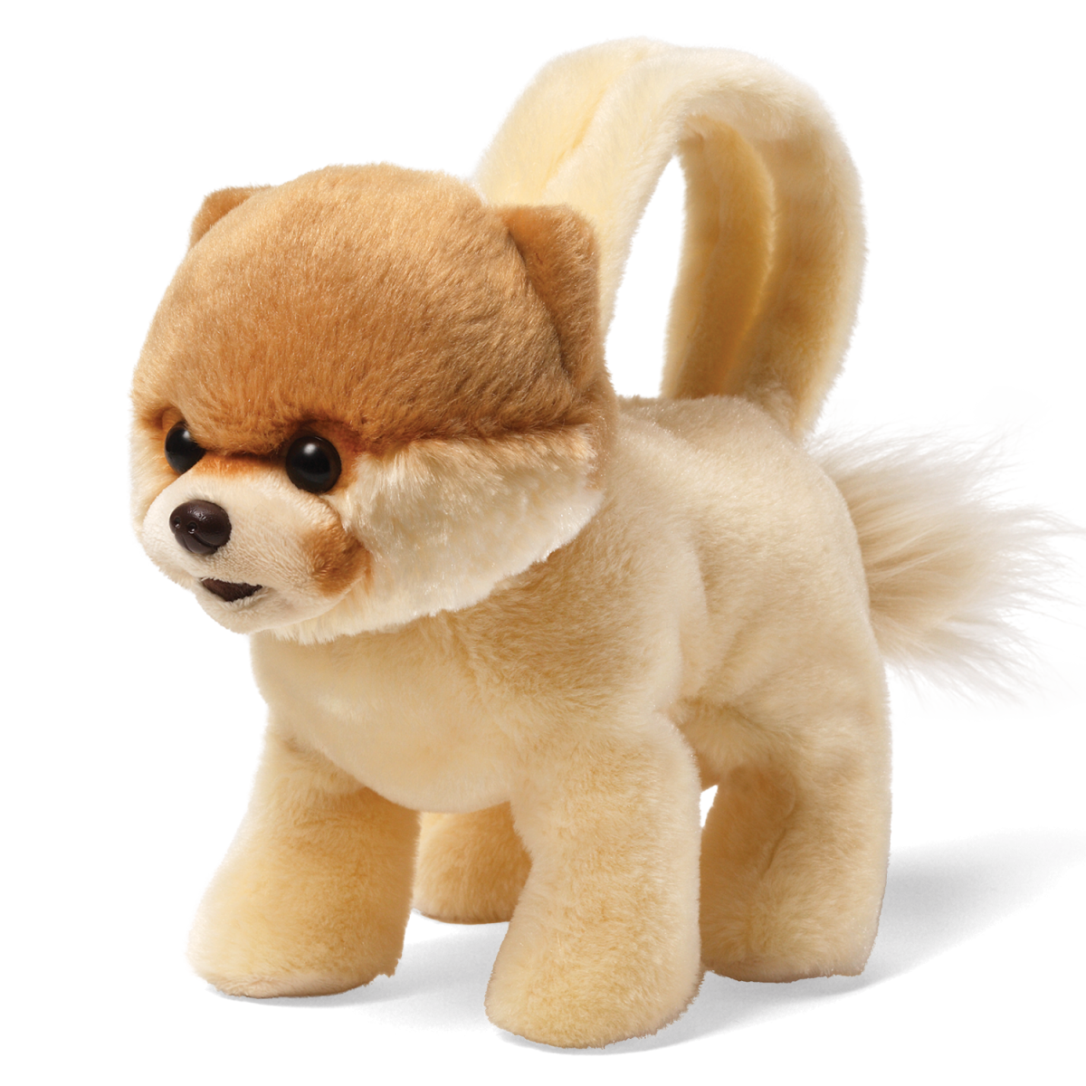Boo Dog Transparent PNG Image