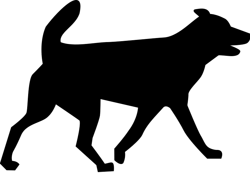 Dog Dogs Transparent PNG Image