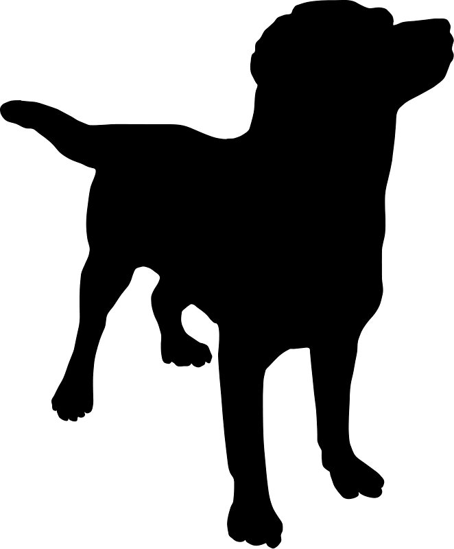 Dog Dogs Transparent PNG Image