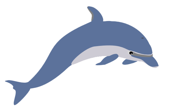 Dolphin Transparent PNG Image